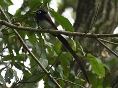 �T���R�E�`���E