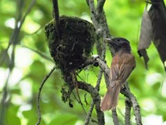 �T���R�E�`���E