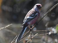 �x�j�}�V�R��