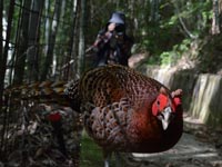 �l�����������}�h��