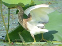 �H�͐^����!(^^)!