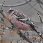 �x�j�}�V�R��