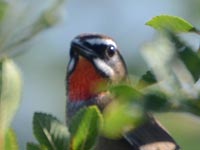 �Ԃ��悾�ꂩ��