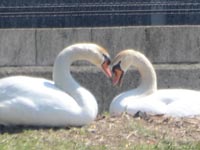 �R�����{