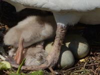 �S���P�X��