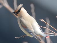 �q�����W���N