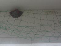 ��ނ𓾂��A�l�b�g���