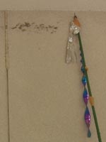 �u�h���g���l�[�h�v�͌��ʔ��Q