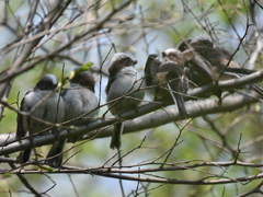 �G�i�K�c�q