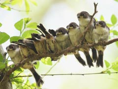 �G�i�K�c�q