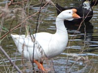 �V�i�K�`���E