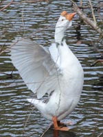 �V�i�K�`���E