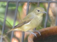 �L�r�^�L��