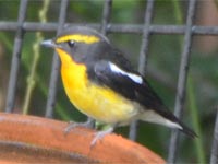 �L�r�^�L��