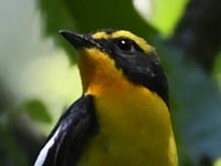 �L�r�^�L���i����B�e)