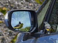 �L�Z�L���C