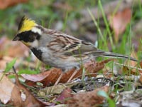 �~���}�z�E�W��