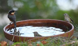 �L�N�C�^�_�L�R�H