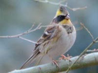 �~���}�z�I�W��