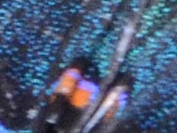 �ؕ��i�\���F�j