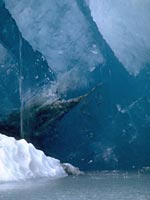 �u���[�A�C�X