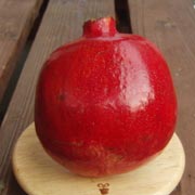 �^���ԂȃJ���t�H���j�A�U�N���̎�