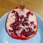 �U�N������K�[�l�b�g���U�N�U�N!(^^)!