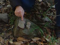 �K�[�l�b�g����