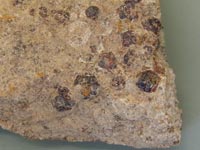 �K�[�l�b�g�炵������