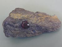 �w�������K�[�l�b�g