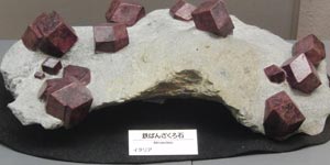 �S�΂񂴂����