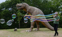 �Q�����V���{����