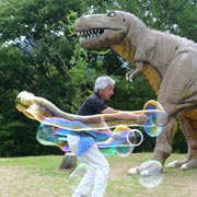 �Q�����V���{����