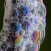 �V���{���ʂ̓���