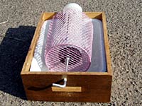 ��]���̎��t��