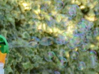 �V���{���ʐ�����