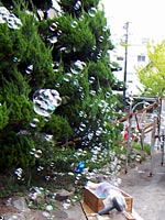 �j���[�o�u���}�V���̂���I��