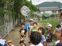 �y�����V���{���ʂ̏W��