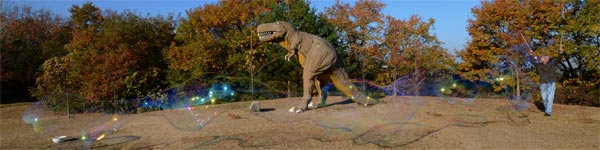 15m�H�V�L�^�̋���V���{����