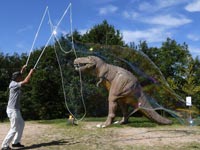 �e�B���m�T�E���X�ߊl