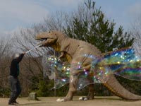 �]���̖��@�̏�i�Z���j