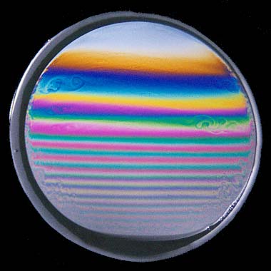 ���F�ɋP���V���{�����ƍ�����