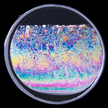 ���F�ɋP���V���{�����ƍ�����