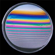 ���i�P����j