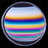 ���i�Q�O����A����������j