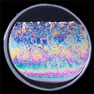 ���i�����R���j