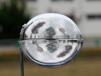 �����ȉf�荞��