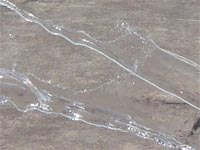 �~�Y�����̓��́B�j�����I