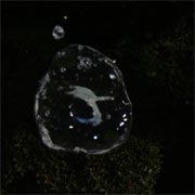 �h�[�i�b�c��H