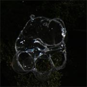 �f�J����